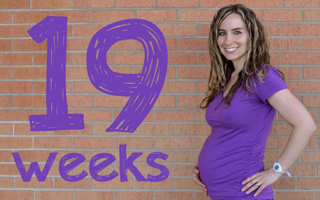 هفته نوزدهم بارداری