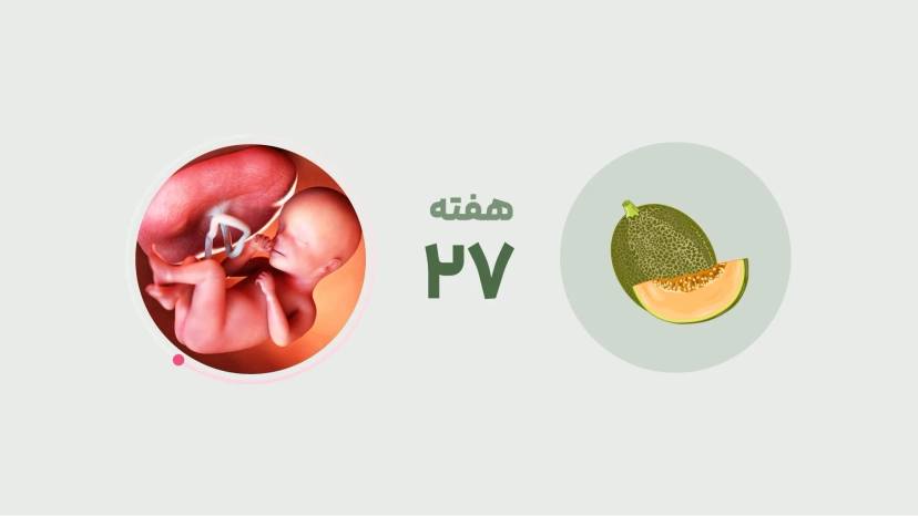 هفته بیست و هفتم بارداری