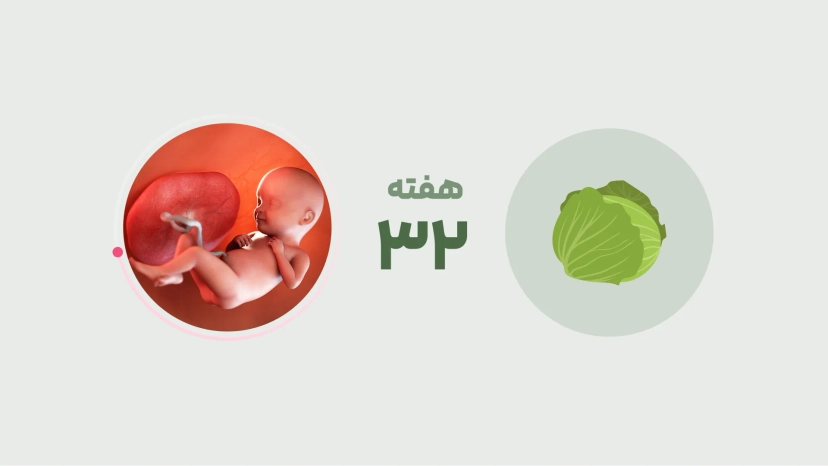هفته سی و دوم بارداری