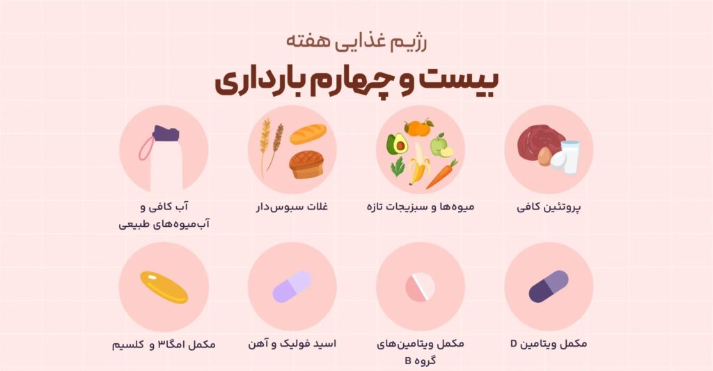 تغذیه در هفته 24 بارداری