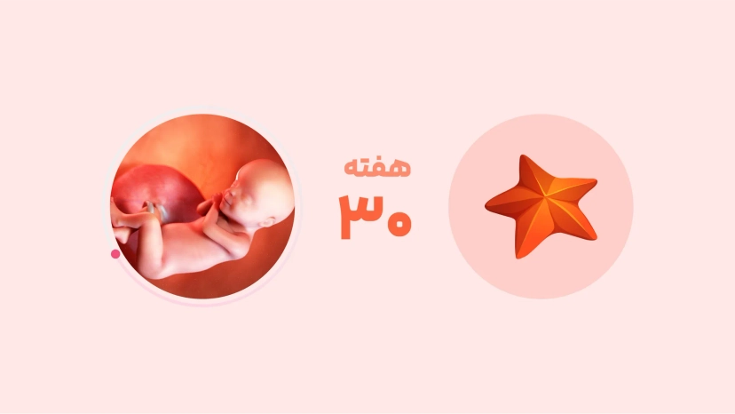 هفته سی‌ام بارداری