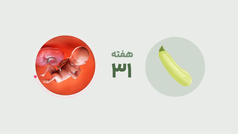 هفتۀ سی و یکم بارداری