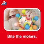 دندانگیر ماهواره ای