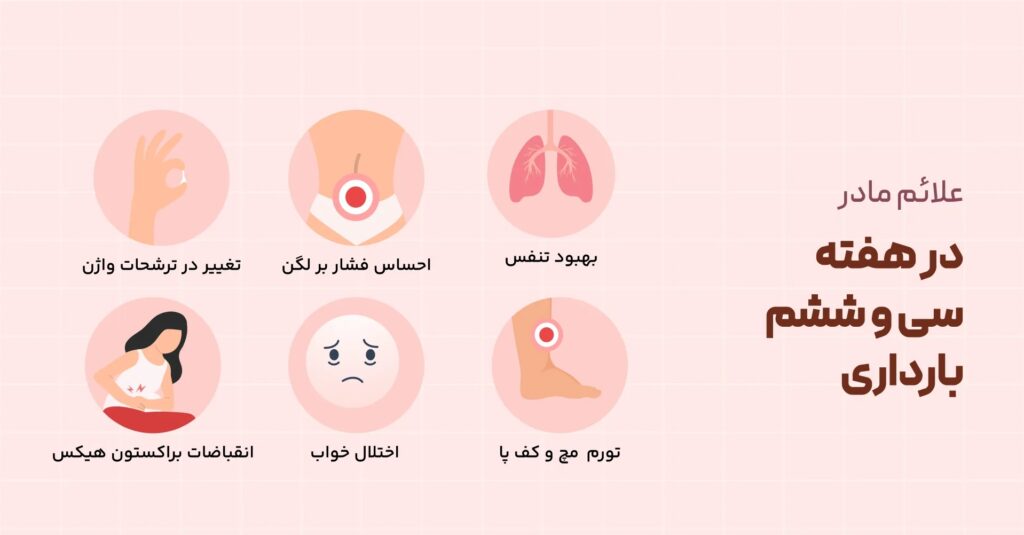 هفته ۳۶ بارداری