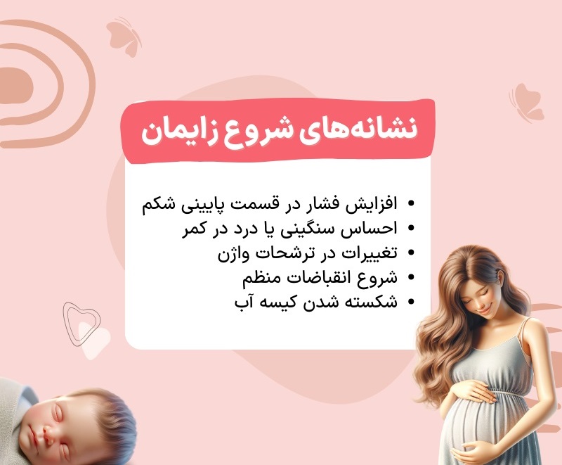 هفته سی و هفتم حاملگی