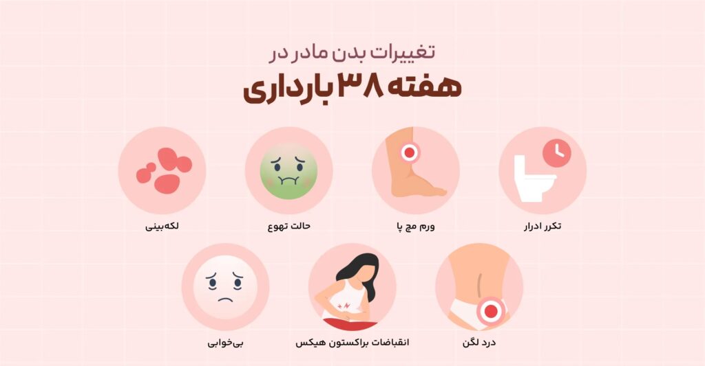 هفته ۳۸ بارداری