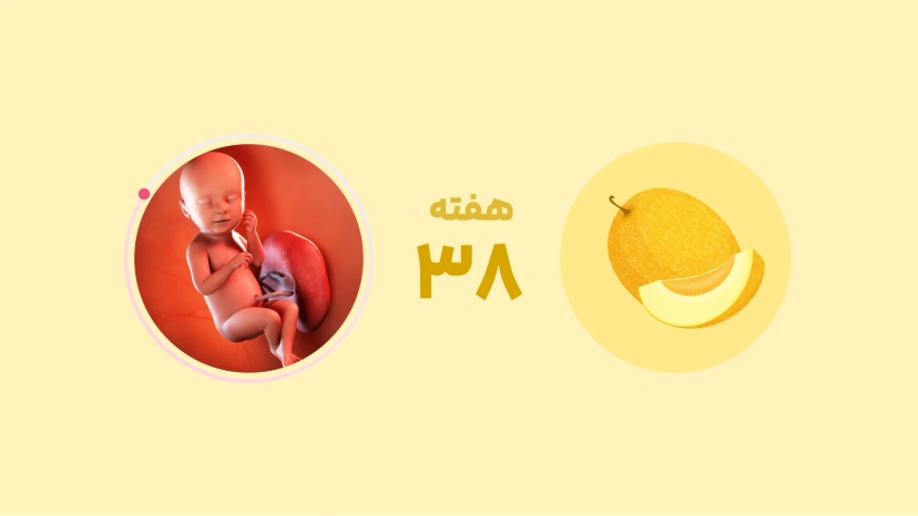 هفته سی و هشتم بارداری
