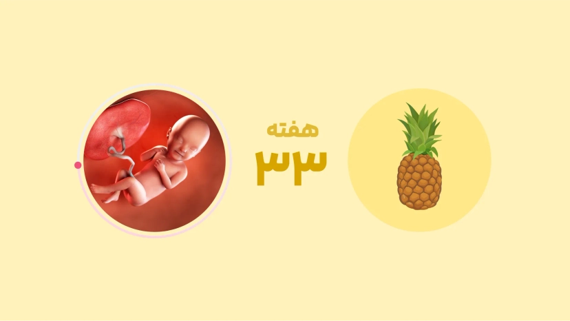 هفته سی و سوم بارداری