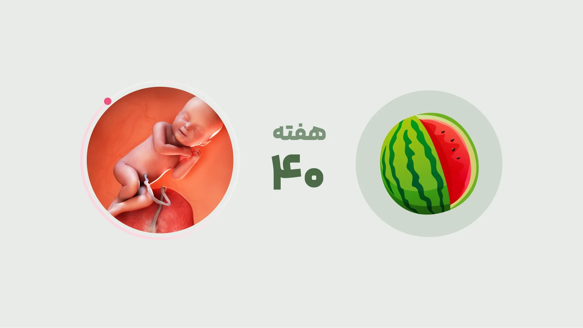 هفته ۴۰ بارداری